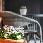 Отель Lindvig - Ferie I Naturen Nymindegab