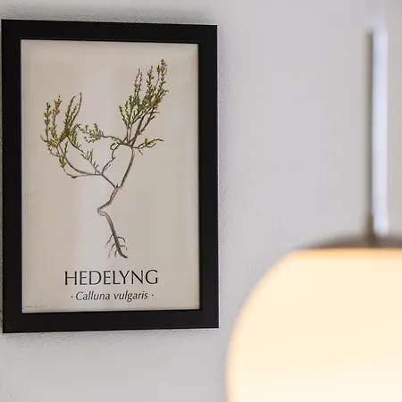 Lindvig - Ferie I Naturen 酒店 Nymindegab