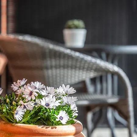 Hotel Lindvig Ferie - Danhostel Nymindegab