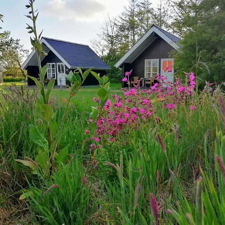 Aparthotel Lindvig - Ferie I Naturen Nymindegab