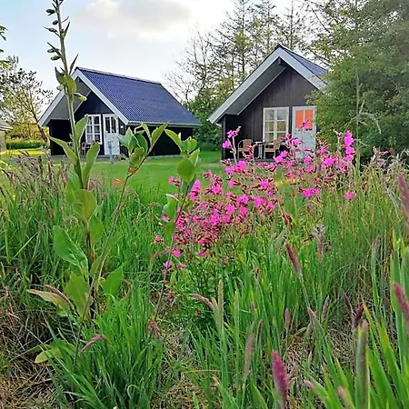 Lindvig - Ferie I Naturen 3*